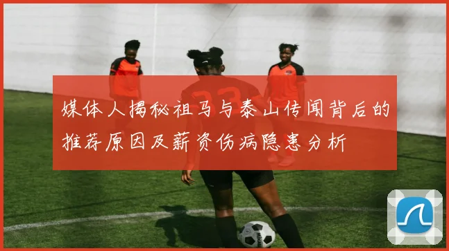 媒体人揭秘祖马与泰山传闻背后的推荐原因及薪资伤病隐患分析