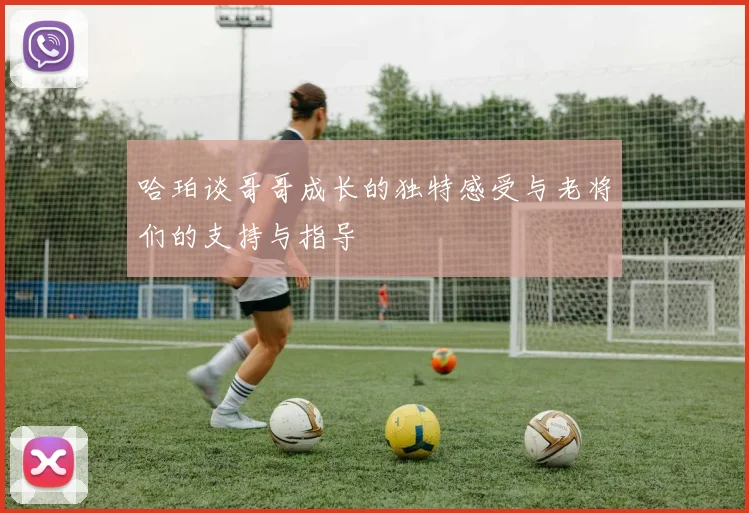哈珀谈哥哥成长的独特感受与老将们的支持与指导
